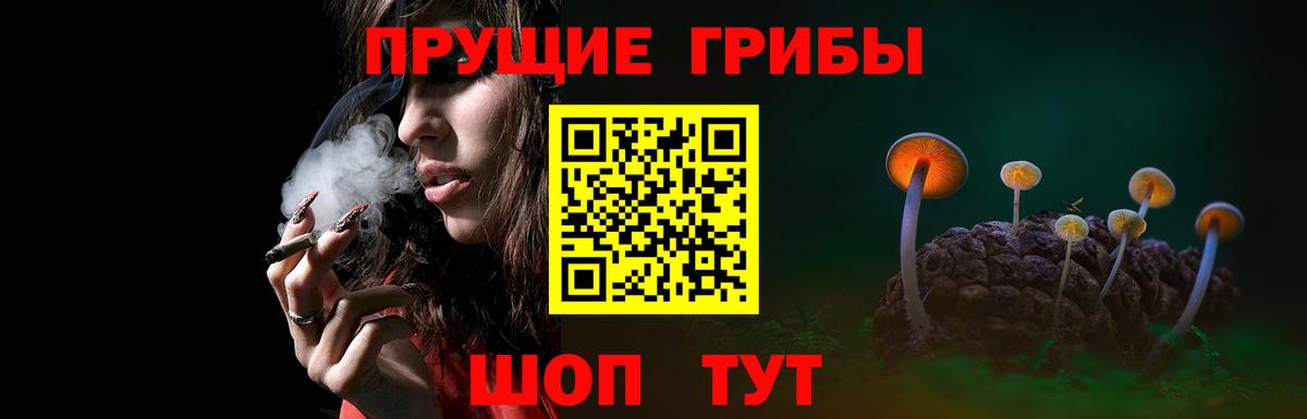 Псилоцибиновые грибы мицелий  Вход с VPN  Сухой Лог  Галлюциногенные грибы прущие грибы 